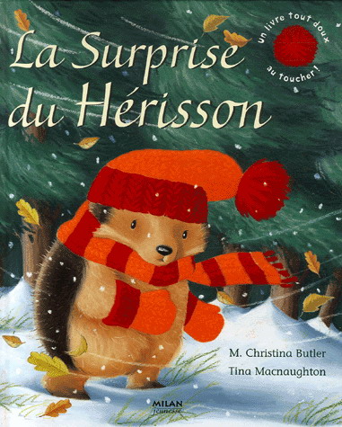 livre enfant La surprise du Hérisson - Christina Butler - Liyah.fr