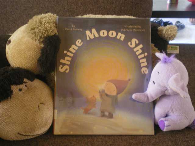 histoire enfant Shine Moon Shine - David Conway - Les lectures de Liyah