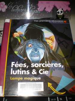 Fées-sorcières-lutins-Cie-C.Delafosse-Les-lectures-de-Liyah