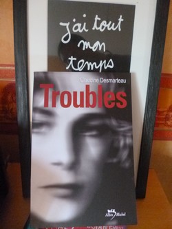Troubles - Albin Michel - Les lectures de Liyah