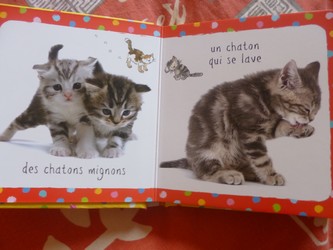 Les chatons 1 - Usborne - Les lectures de Liyah