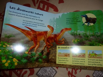 Mon imagier des dinosaures 1 - Usborne - Les lectures de Liyah