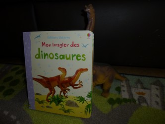 Mon imagier des dinosaures - Usborne - Les lectures de Liyah