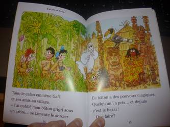 Safari en folie 1 - Nathan - Les lectures de Liyah