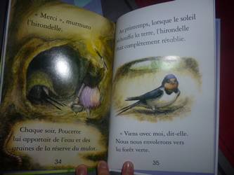 Poucette - Usborne - Les lectures de Liyah