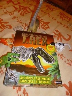 Enormissime T.Rex - Nathan - Les lectures de Liyah