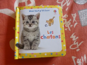 Les chatons - Usborne - Les lectures de Liyah