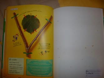 L'herbier de Jack 2 - Petite Plume - Les lectures de Liyah
