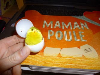 Maman poule 3 - Seuil - Les lectures de Liyah