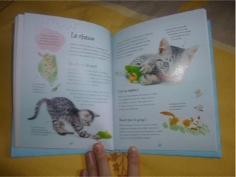 Mon petit livre des chats 1 - Usborne - Les lectures de Liyah
