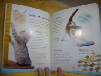 Mon petit livre des chats 2 - Usborne - Les lectures de Liyah
