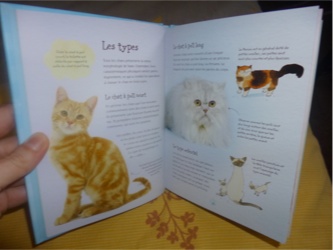 Mon petit livre des chats 3 - Usborne - Les lectures de Liyah