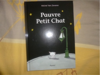 Pauvre petit chat - Pastel - Les lectures de Liyah