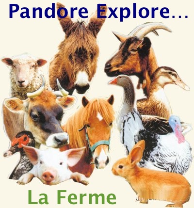 Logo Pandore Ferme - Les lectures de Liyah