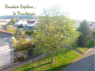 Logo Pandore explore le printemps - Les lectures de Liyah