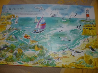 Le monde sous marin 1 - Usborne - Les lectures de Liyah