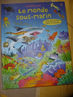 Le monde sous marin - Usborne - Les lectures de Liyah