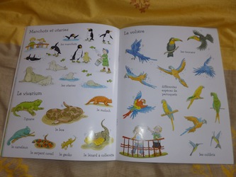 Le zoo 2 - Usborne - Les lectures de Liyah