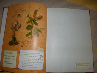 L'herbier du petit chaperon rouge 1 - Petite Plume - Les lectures de Liyah