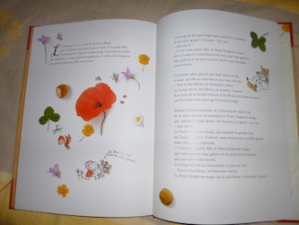 L'herbier du petit chaperon rouge 2 - Petite Plume - Les lectures de Liyah