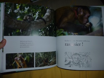 Amazonia 2 - DLMJ - Les lectures de Liyah