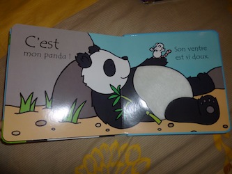 Ou es tu petit panda 2 - Usborne - Les lectures de Liyah