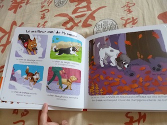 Les animaux domestiques 1 - Larousse - Les lectures de Liyah