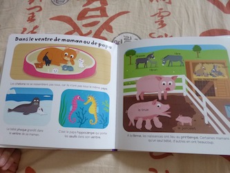 Les bebes Animaux 1 - Larousse - Les lectures de Liyah