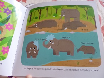 Les bebes Animaux 2 - Larousse - Les lectures de Liyah