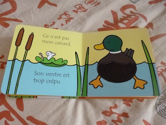 Ou est mon canard 1 - Usborne - Les lectures de Liyah