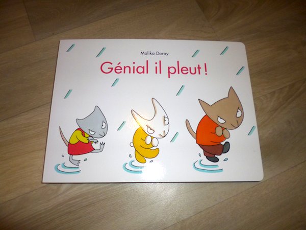 Livre pour enfants Génial il pleut