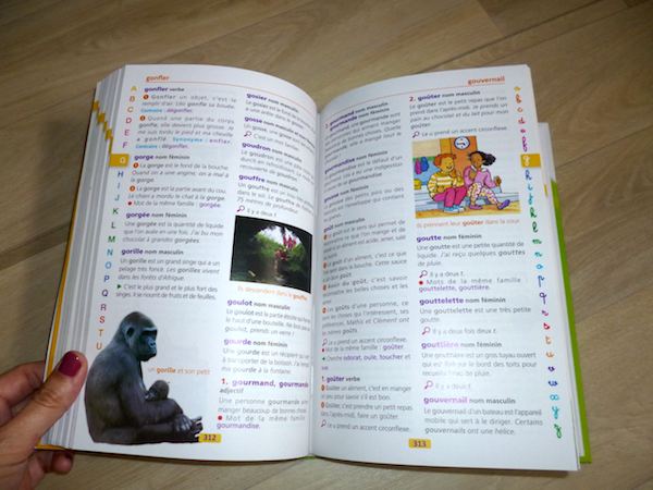 Le dictionnaire LAROUSSE des débutants 6-8 ans CP-CE1 : Chez