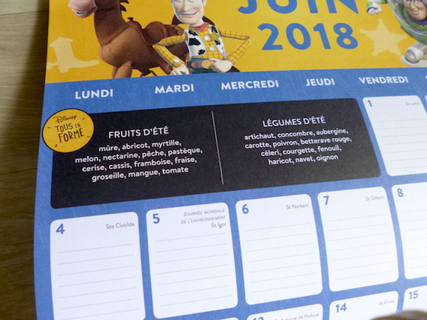 VAIANA - Calendrier familial - Une année organisée