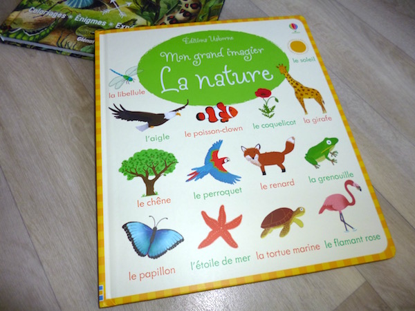 Usborne See Inside: 199 dinosaures et animaux préhistoriques