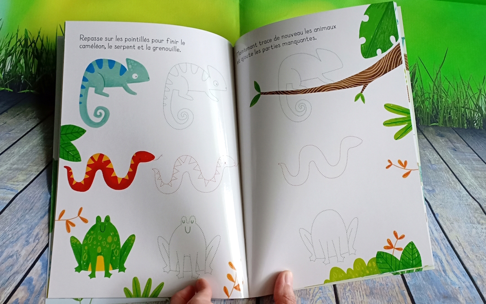 Deux livres pour apprendre à dessiner aux enfants