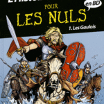 L'histoire de France pour les nuls Les Gaulois - Julaud - Les lectures de Liyah