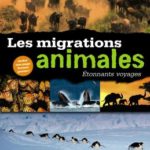 Dwight Holing - Les Migrations Animales - Les lectures de Liyah