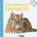 Les animaux sauvages - Lito - Les lectures de Liyah