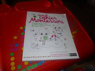Mon cahier Montessori - Nathan - Les lectures de Liyah