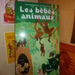Les bébés animaux - Tourbillon - Les lectures de Liyah