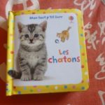 Les chatons - Usborne - Les lectures de Liyah