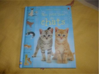 Mon petit livre des chats - Usborne - Les lectures de Liyah