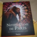 Notre Dame de Paris - Tourbillon - Les lectures de Liyah