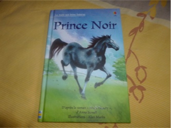 Prince noir - Usborne - Les lectures de Liyah