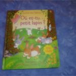 Où es tu petit lapin - Usborne - Les lecturs de Liyah