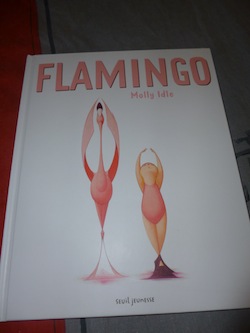 Flamingo - Seuil - Les lectures de Liyah