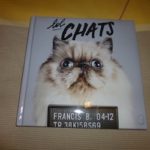 Lol chats - J'ai lu - Les lectures de Liyah