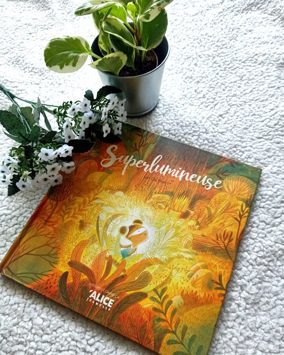 16 Ans Et Des Poussières – Mireille Disdero – Liyah.fr – Livre enfant