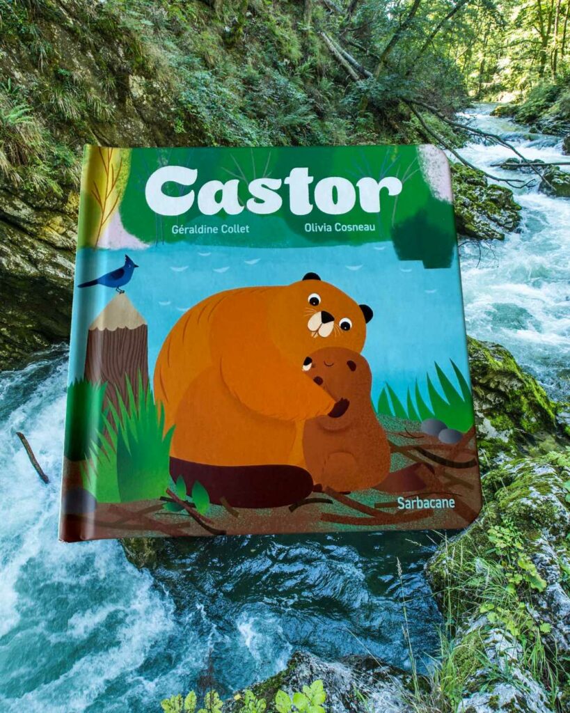 Castor