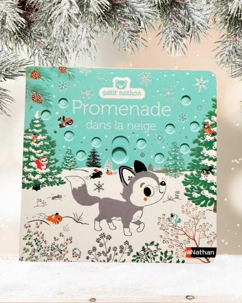 Promenade Dans La Neige